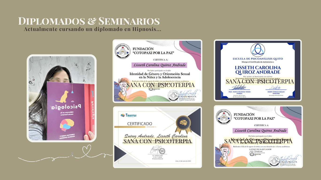 Diplomados y seminarios de Carolina Quiroz Andrade